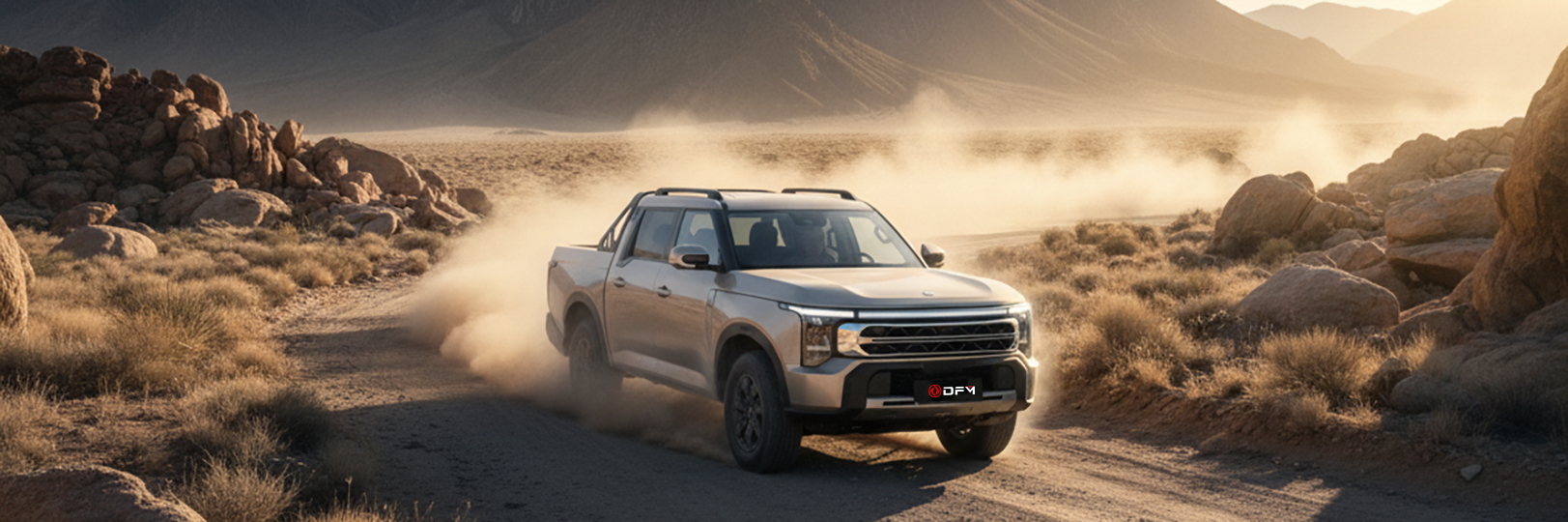 DFM Rich 9 Pick Up Landschaft